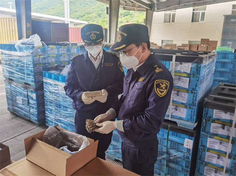 Edendada väliskaubandust, et tagada stabiilsus ja parandada kvaliteeti Ningbo toll andis välja 20 